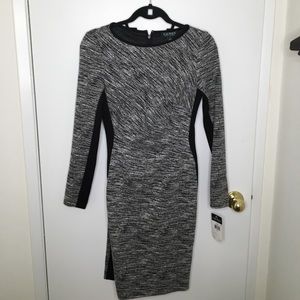 NWT Lauren Ralph Lauren Long Sleeve Dress